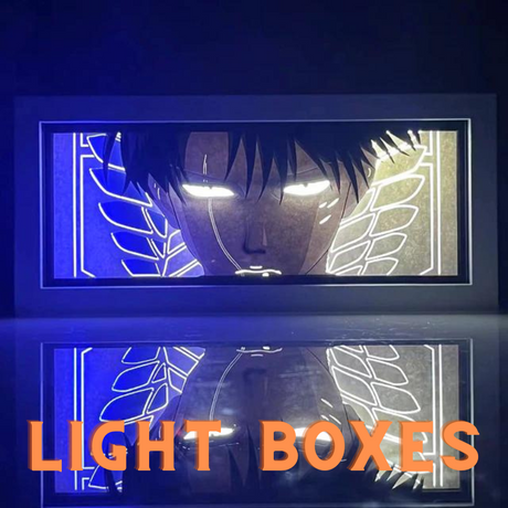 LIGHT BOXES