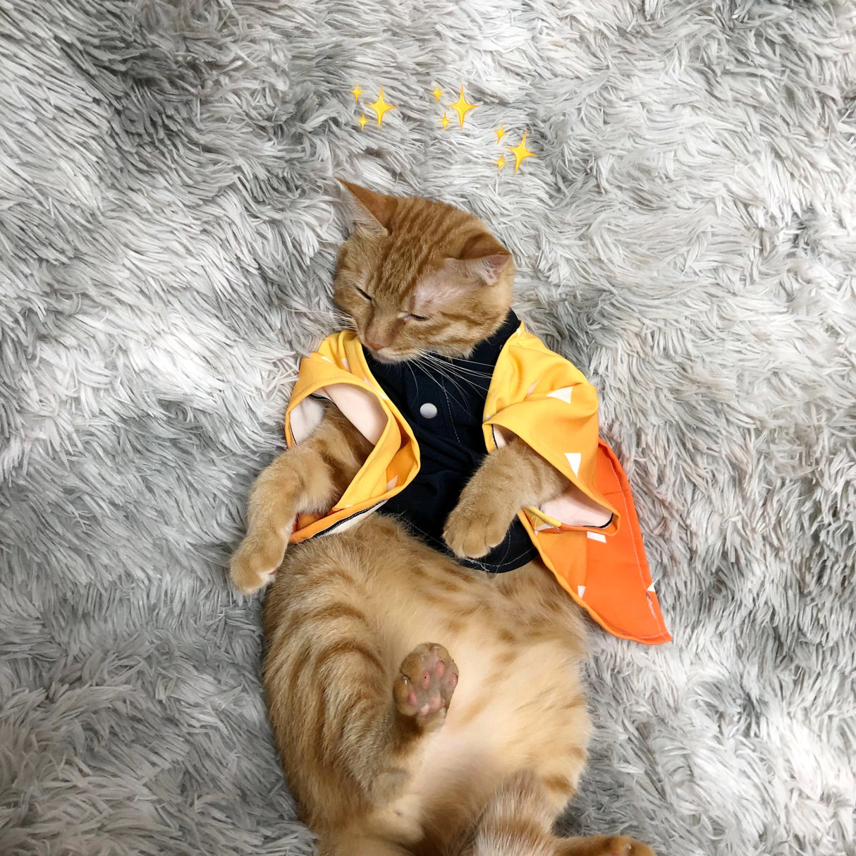 This  cosplay allows your pet to step into the paws of beloved heroes & heroines. If you are looking for more Demon Slayer Merch,We have it all!| Check out all our Anime Merch now!