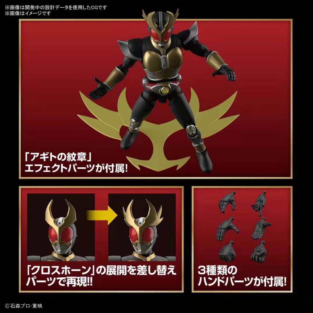 Kamen Rider Agito Assembly Model Figure