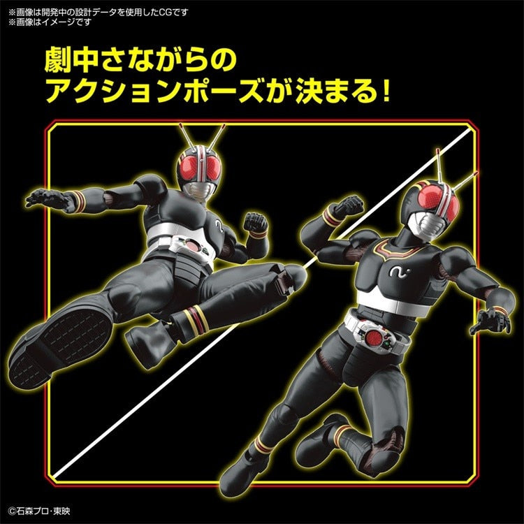 Kamen Rider Black Assembly Model Figure