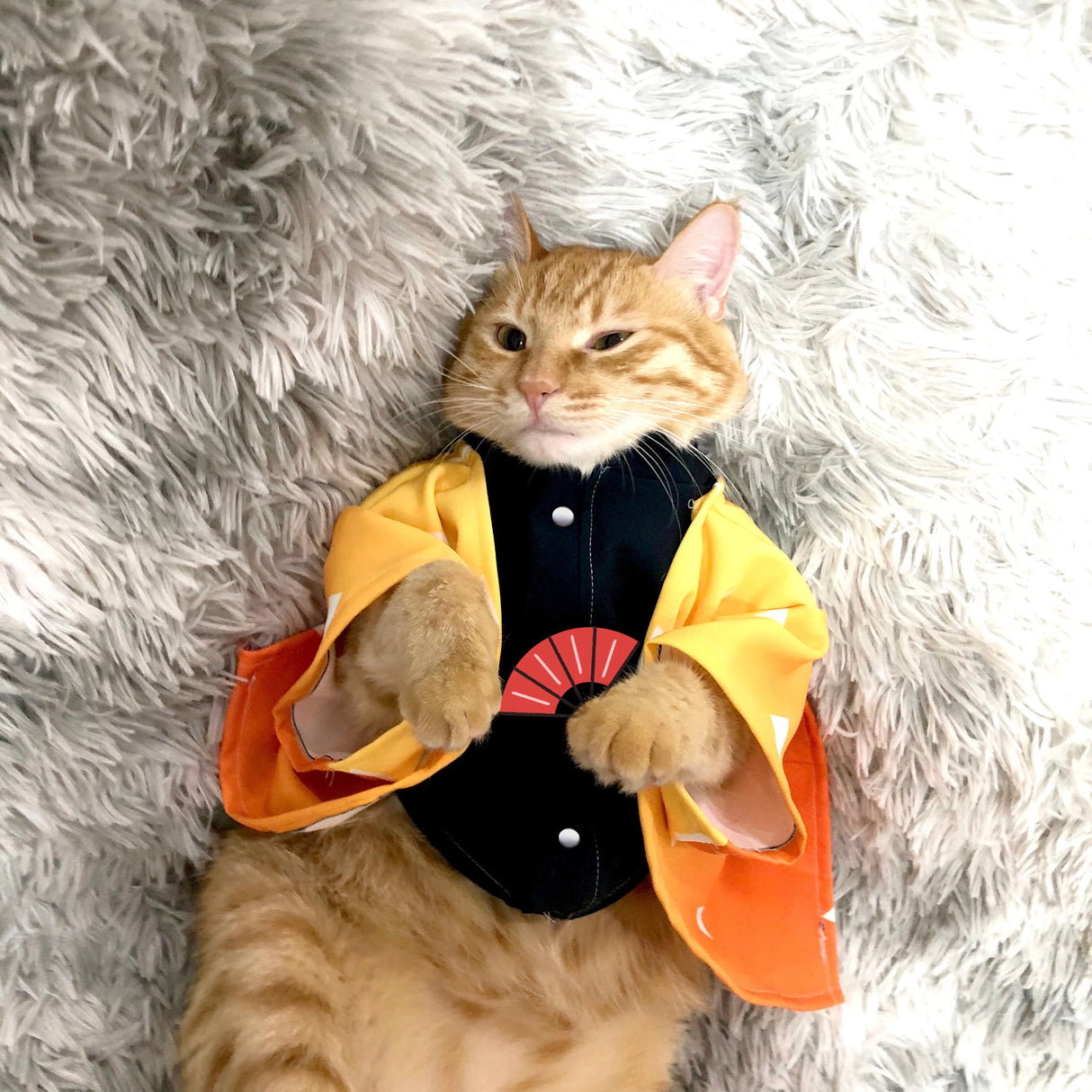 This  cosplay allows your pet to step into the paws of beloved heroes & heroines. If you are looking for more Demon Slayer Merch,We have it all!| Check out all our Anime Merch now!