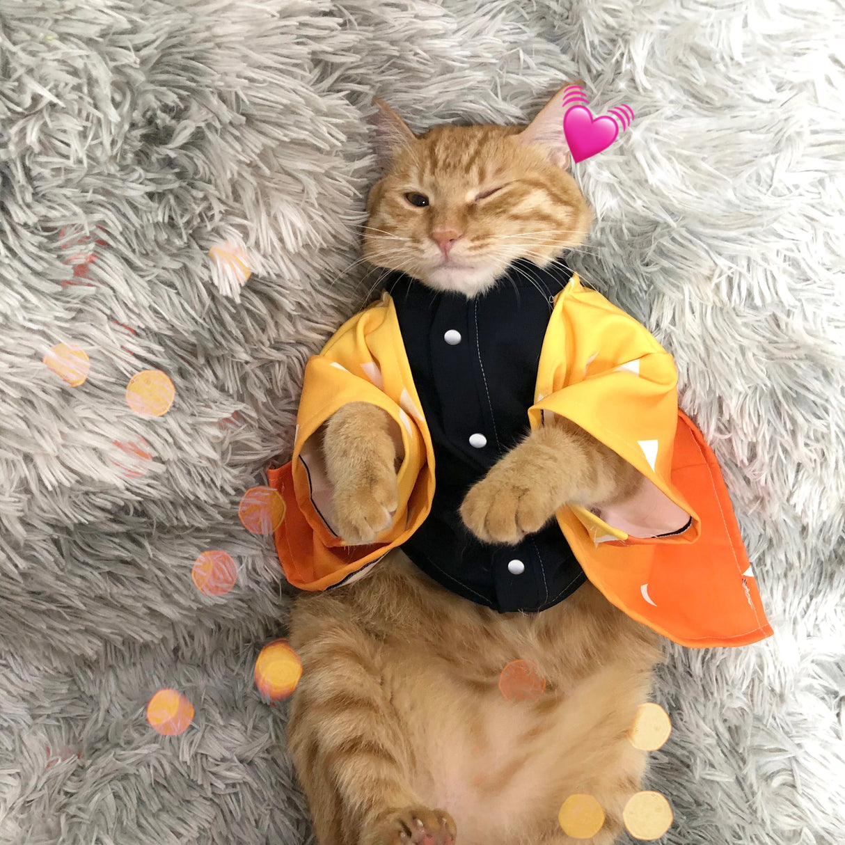 This  cosplay allows your pet to step into the paws of beloved heroes & heroines. If you are looking for more Demon Slayer Merch,We have it all!| Check out all our Anime Merch now!