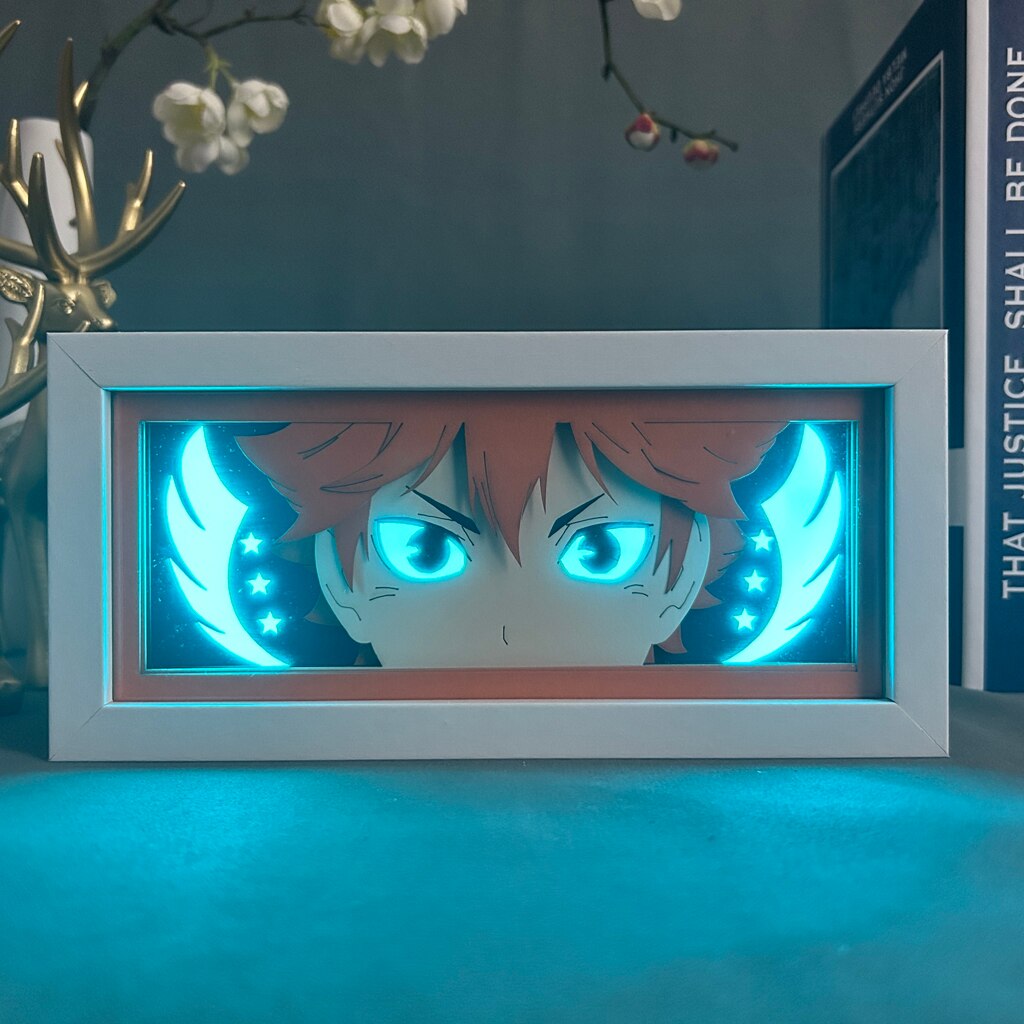 Haikyuu: Shoyo Hinata Light Box