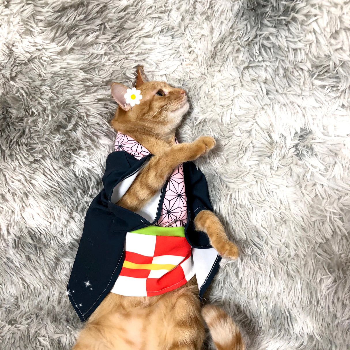 This  cosplay allows your pet to step into the paws of beloved heroes & heroines. If you are looking for more Demon Slayer Merch,We have it all!| Check out all our Anime Merch now!