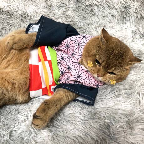 This  cosplay allows your pet to step into the paws of beloved heroes & heroines. If you are looking for more Demon Slayer Merch,We have it all!| Check out all our Anime Merch now!