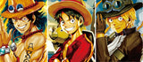 One Piece Hologram Changeable Picture Stereo Album