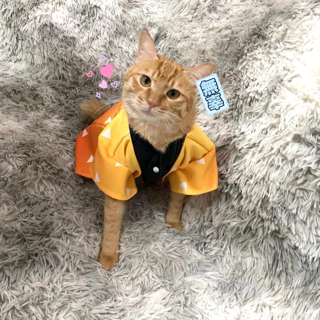 This  cosplay allows your pet to step into the paws of beloved heroes & heroines. If you are looking for more Demon Slayer Merch,We have it all!| Check out all our Anime Merch now!