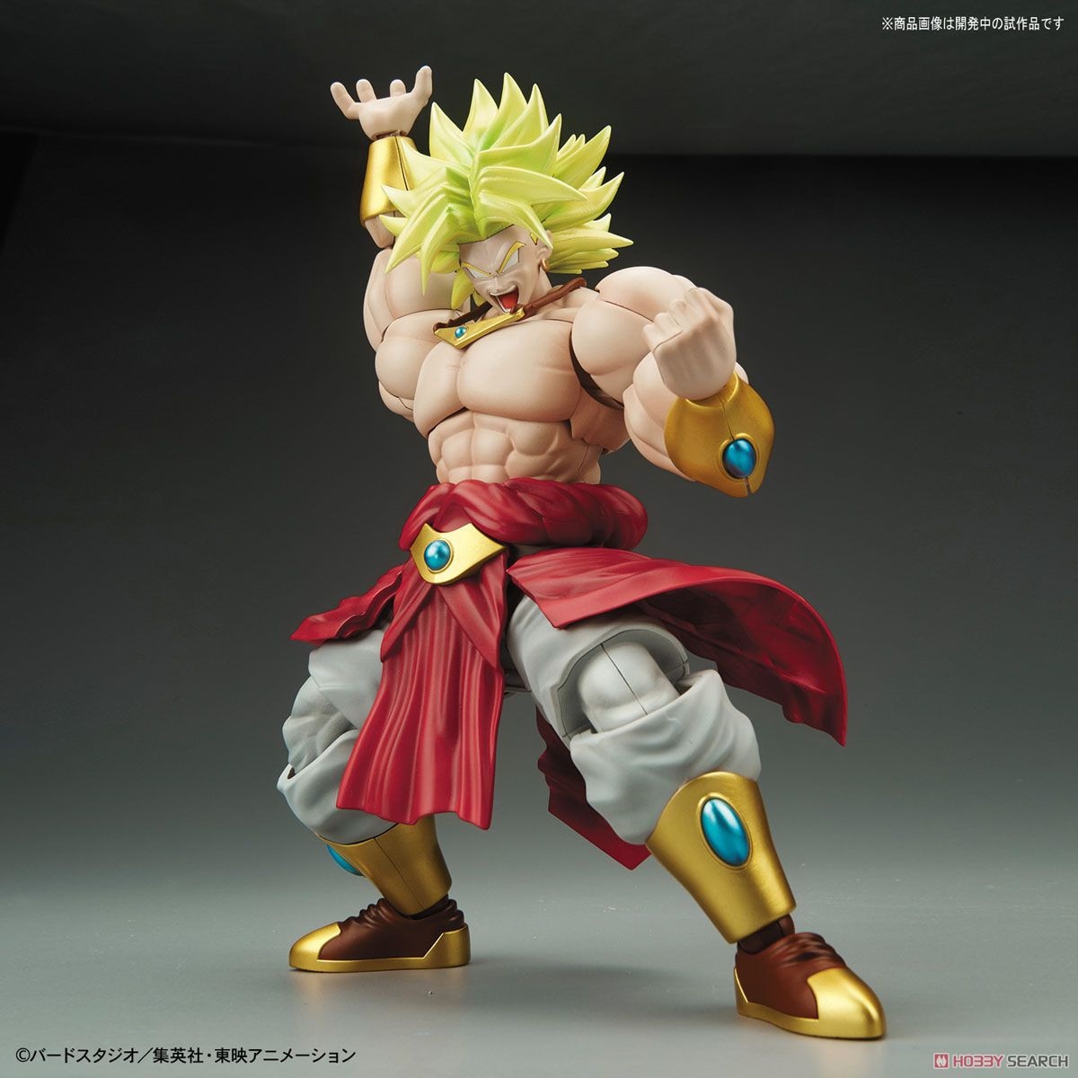 Dragon Ball Z Broly Assembly Model Figure