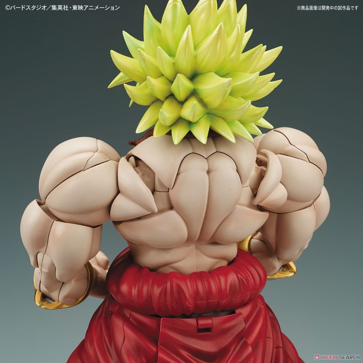 Dragon Ball Z Broly Assembly Model Figure