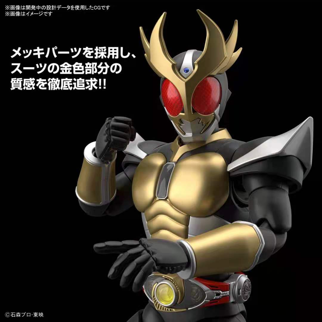 Kamen Rider Agito Assembly Model Figure