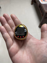 Kamen Rider Legacy Tamagotchi - Bandai's 50th Anniversary Edition