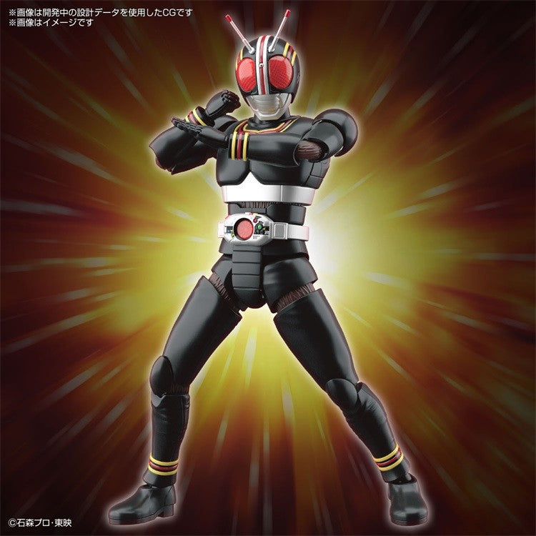 Kamen Rider Black Assembly Model Figure