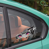 Möbius Eye Car Sticker