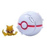 Pokemon Ball With Mini pokemon